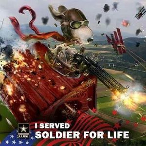 Meet your Posher, Roger